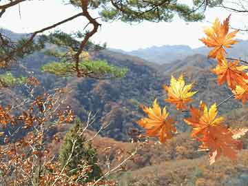 深圳南山区连续七年位居全国百强区榜首